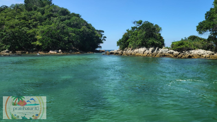Passeio das tartarugas